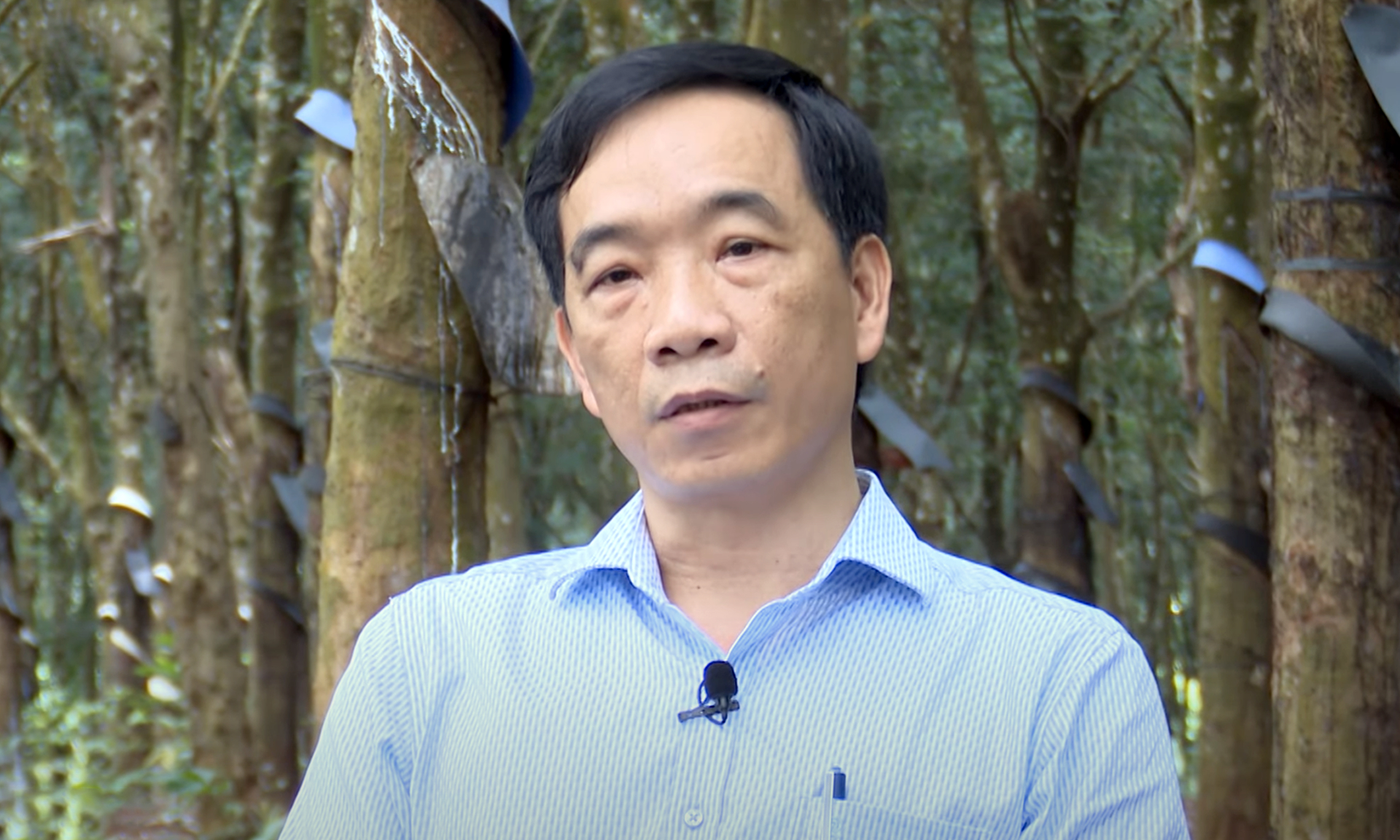 Ông Lê Anh Tuấn, Tổng Giám đốc Công ty Cao su Ea H'leo. Ảnh: Bảo Thắng.