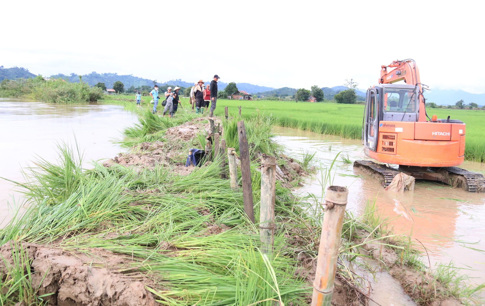 Chính quyền địa phương cùng người dân huy động máy móc gia cố bờ đê bị vỡ. Ảnh: Quang Yên.