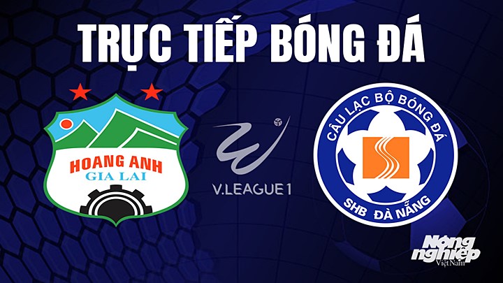 Trực tiếp bóng đá V-League 2023 giữa HAGL vs Đà Nẵng hôm nay 29/7/2023