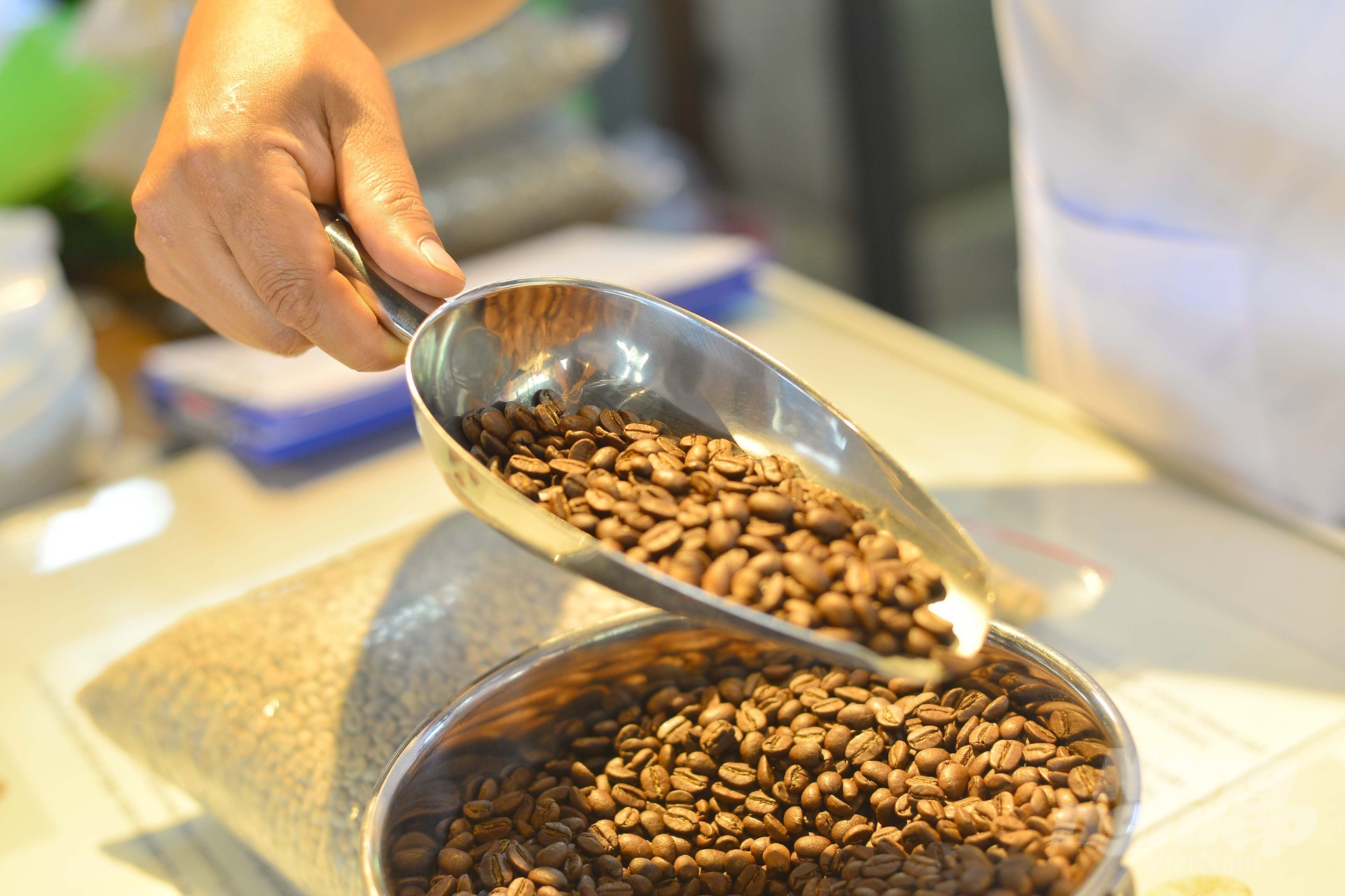 Currently, people and enterprises producing coffee are gradually focusing on improving quality to meet market demand. Photo: Minh Hau.