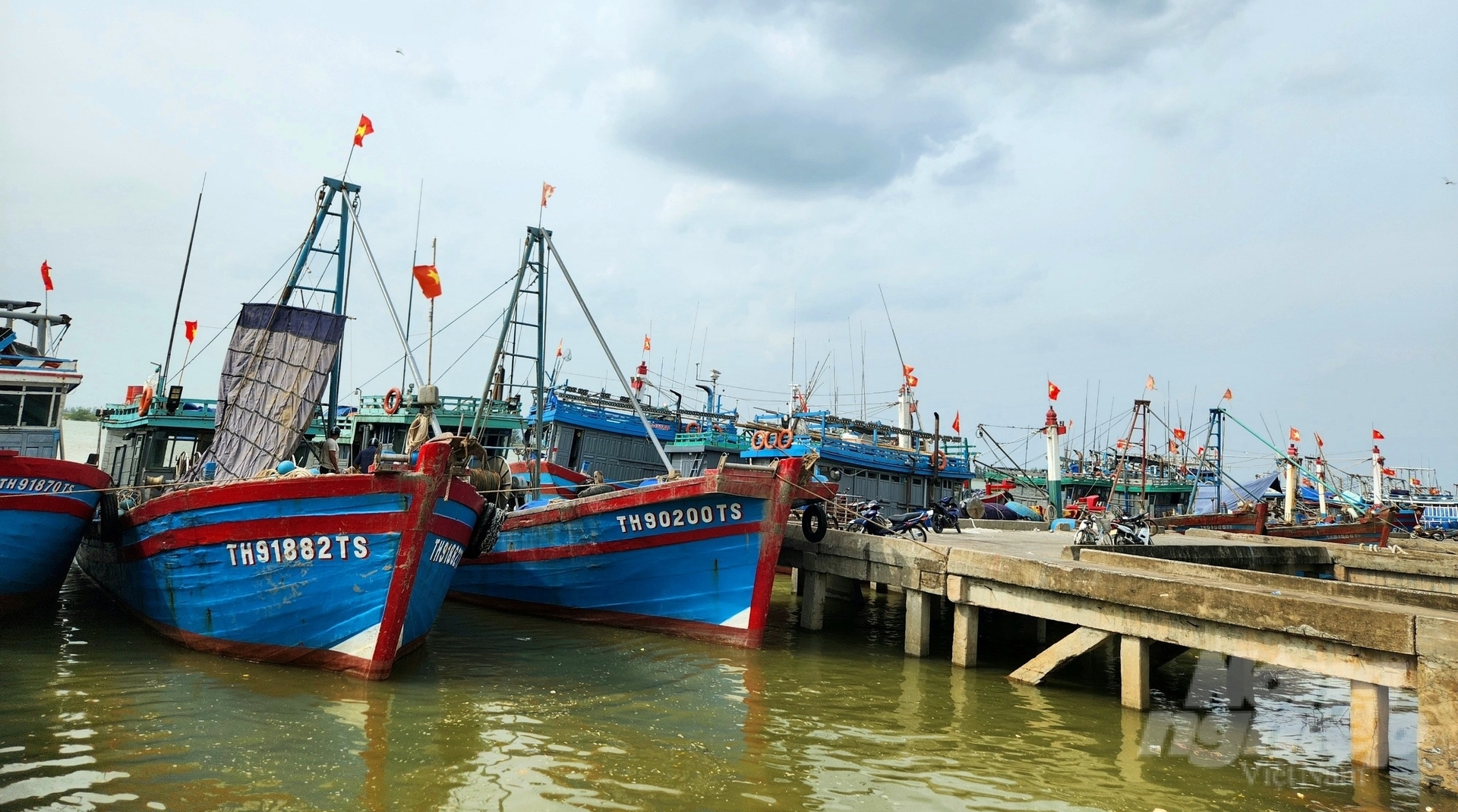Fishing boats docked at Lach Hoi port: Photo: Quoc Toan.