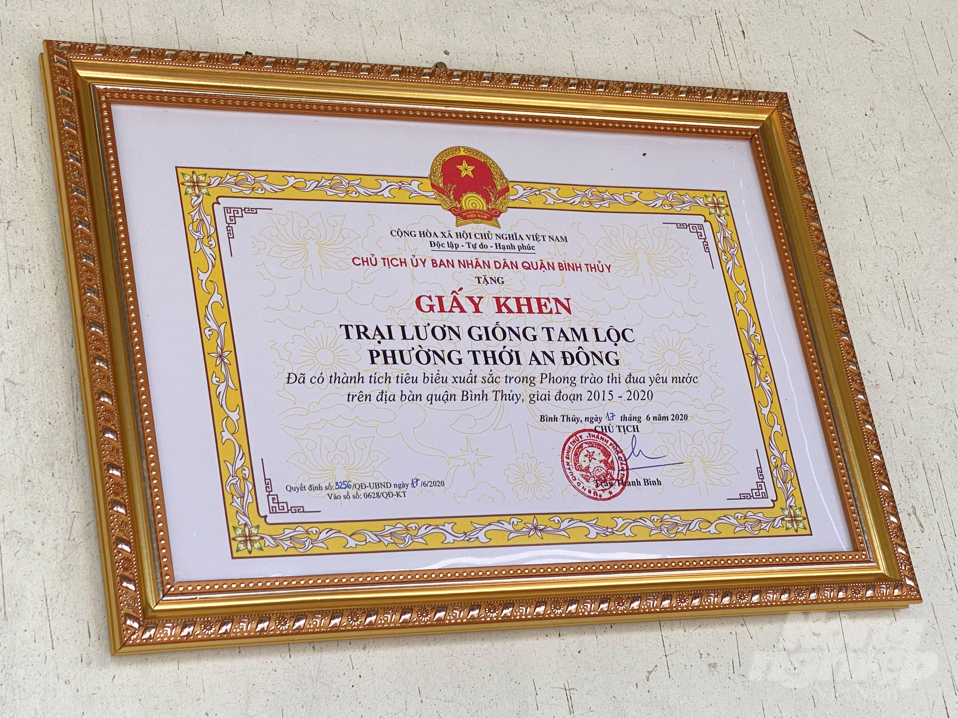Sau nhiều năm thành công với con lươn và đóng góp cho nông nghiệp địa phương, trại lươn giống Tam Lộc của anh Lộc đã được nhận giấy khen của UBND quận Bình Thủy.