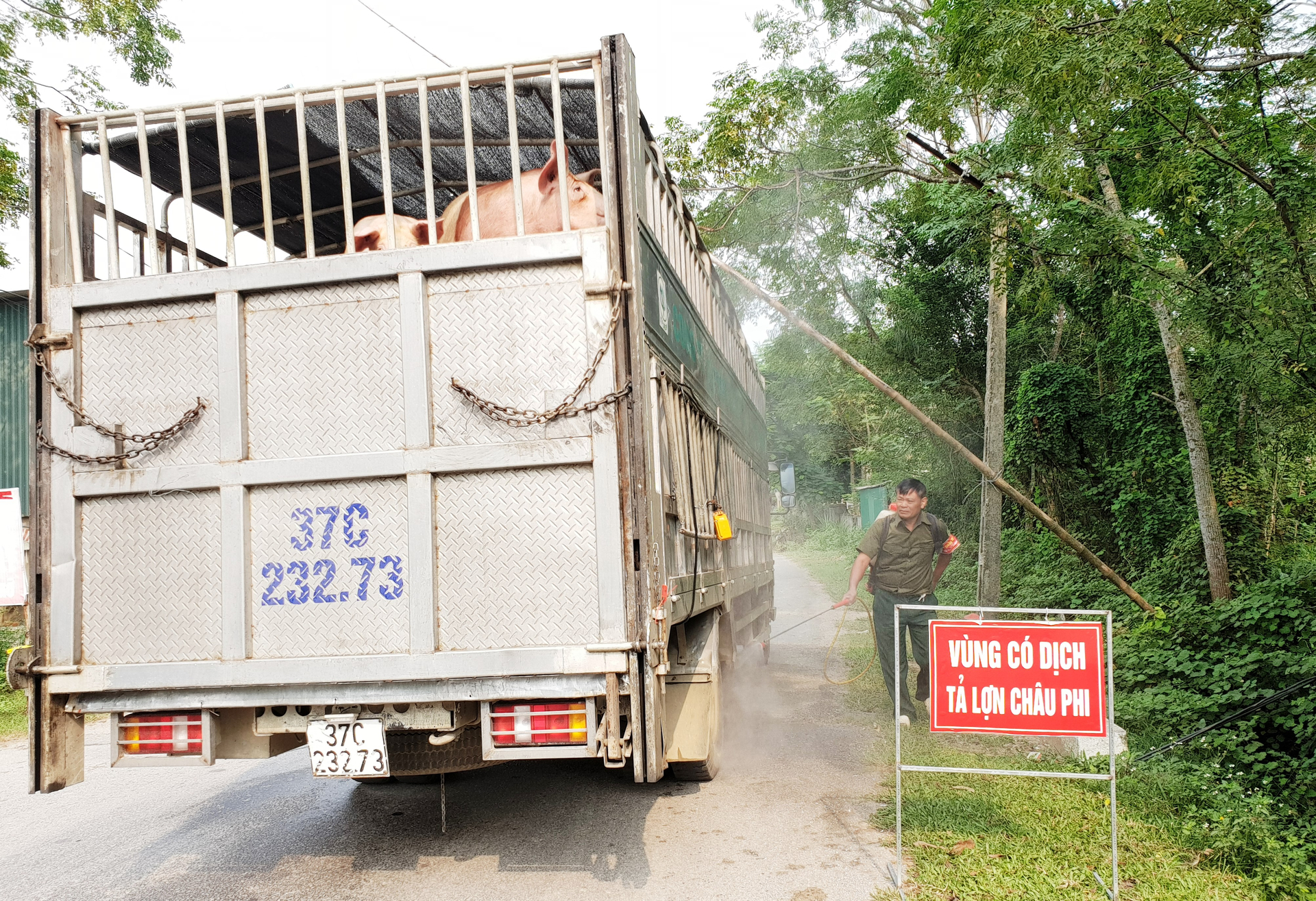 Hà Tĩnh cần sớm tổ chức lại lực lượng thú y cấp huyện nhằm nâng cao hiệu quả công tác phòng chống dịch bệnh trên đàn gia súc, gia cầm. Ảnh: TN.