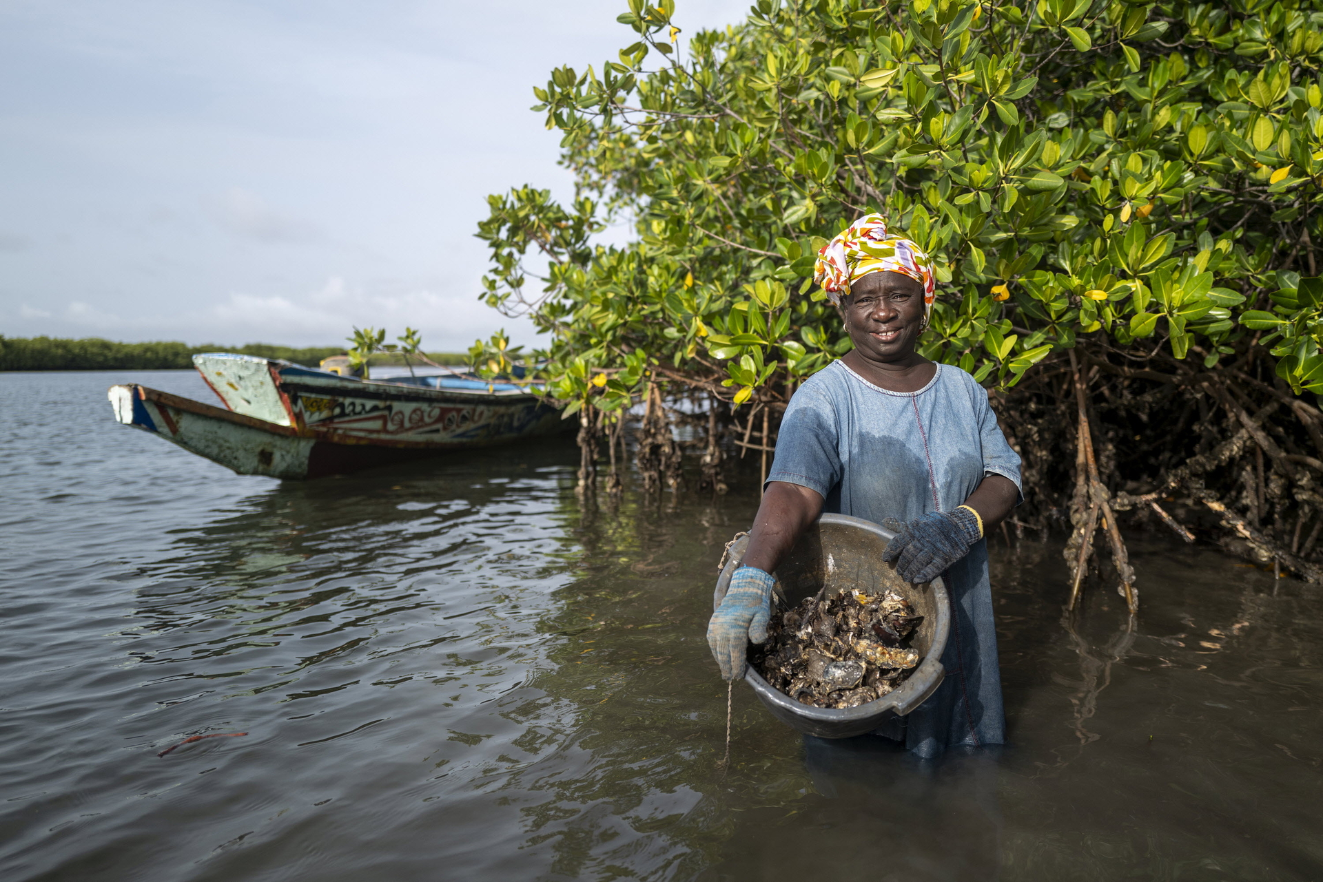 Fatou Diene, an oyster farmer in the mangroves near Dionewar Island, Senegal.