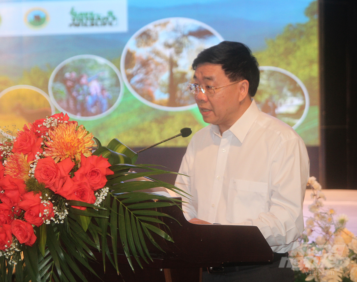 Deputy Secretary of the Nghe An Provincial Party Committee Nguyen Van Thong addresses the shortcomings and problems of the forestry industry. Photo: Quoc Toan.
