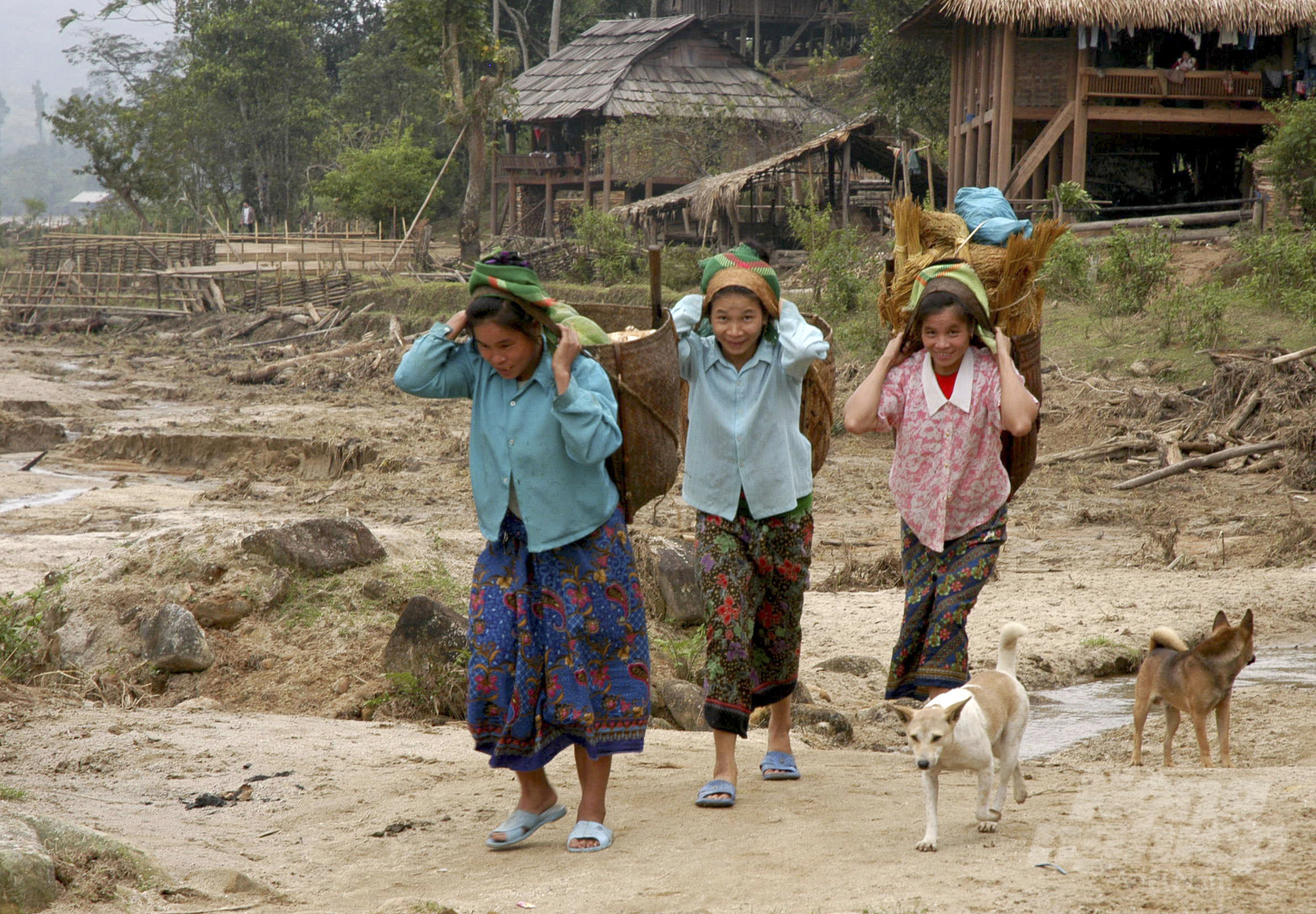 Six ethnic minority people live in the western part of Nghe An. Photo: Quoc Toan.