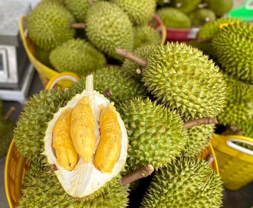 Durian is currently the most valuable export commodity in the Vietnam's fruit and vegetable industry. Photo: Son Trang.