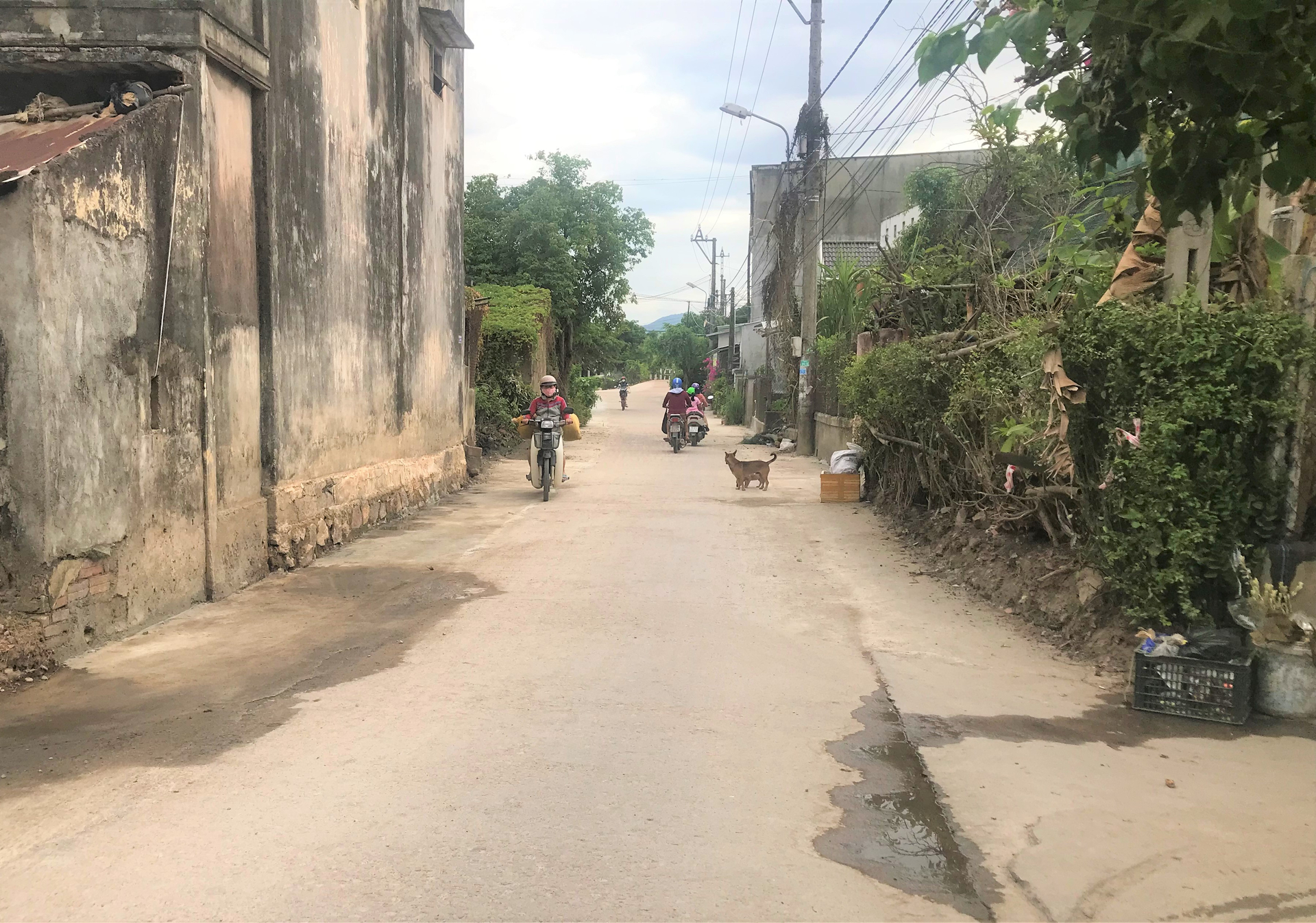 Các tuyến đường thôn, đường liên thôn của một số địa phương ở Bình Định chưa được mở rộng. Ảnh: V.Đ.T.