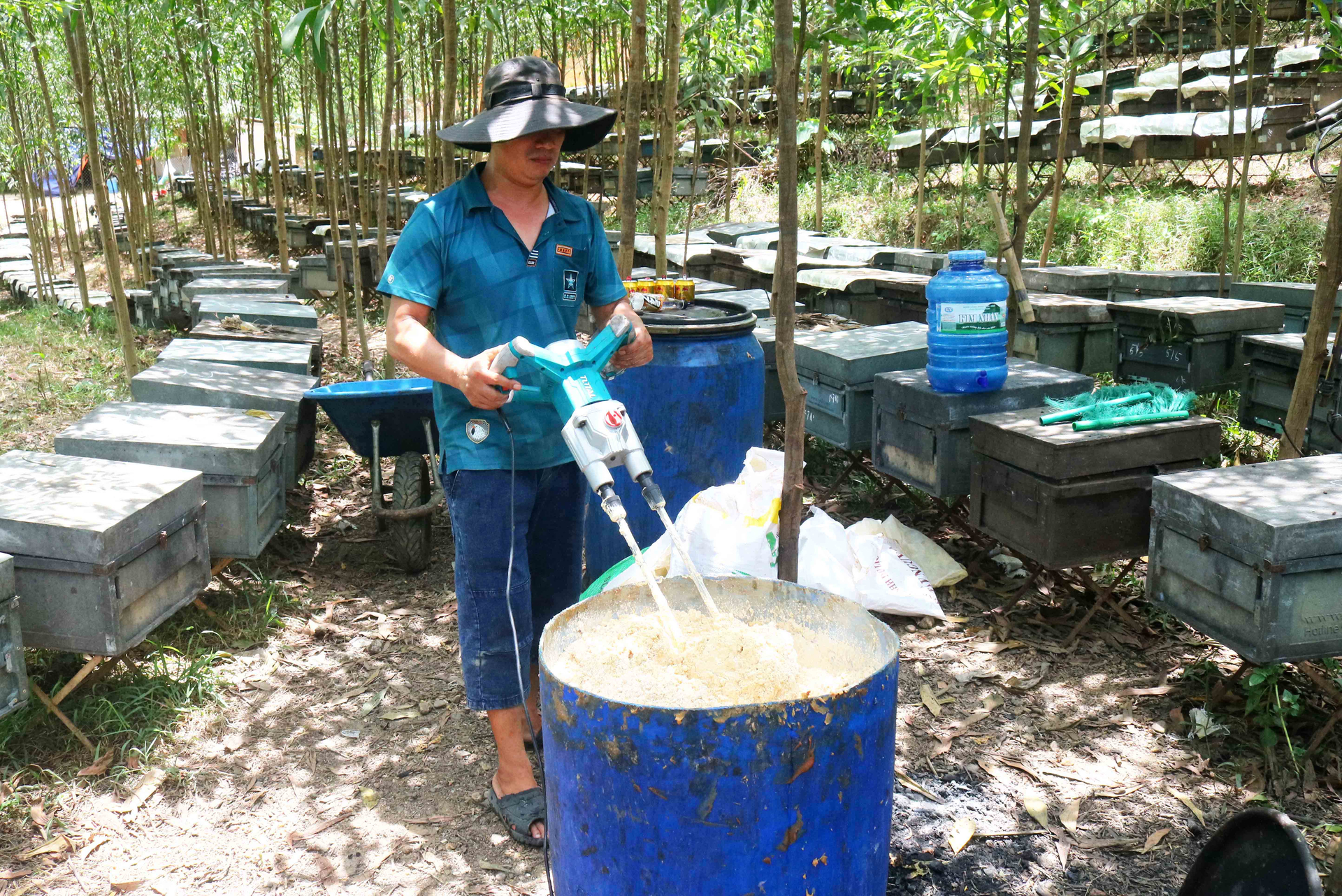 The price of honey is too low, while the costs of investment, bee care, and transportation are high, causing many bee farms to quit or suffer losses. Photo: Huy Thu.