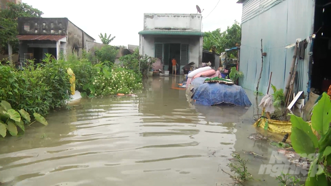 Ngoài cá chết, trên địa bàn huyện Định Quán còn bị ngập úng, nhiều diện tích lúa, hoa màu thiệt hại. Ảnh: VT.