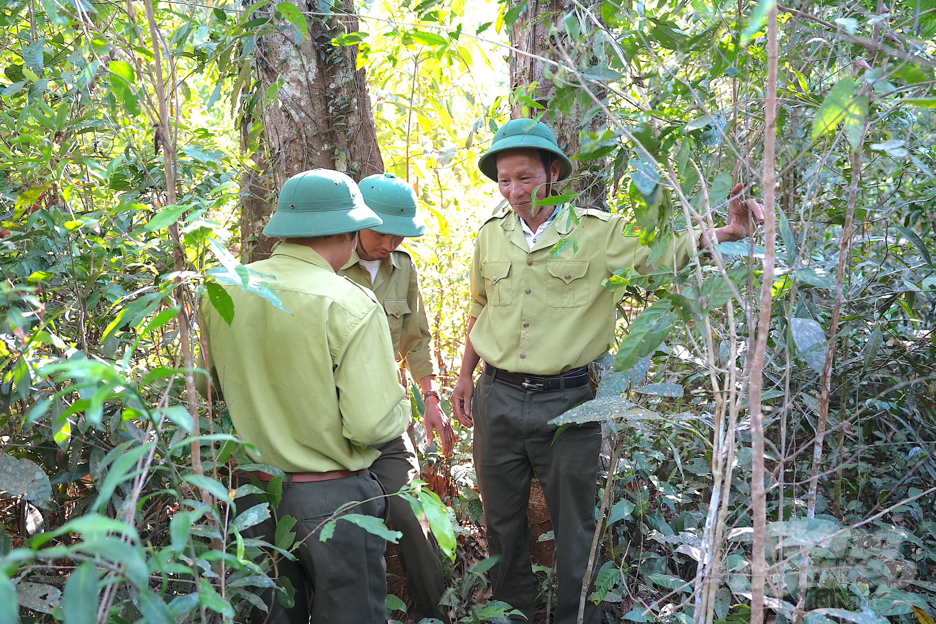 Lực lượng bảo vệ rừng ở Trạm số 5, Khu Bảo tồn thiên nhiên Nâm Nung. Ảnh: Hồng Thủy.