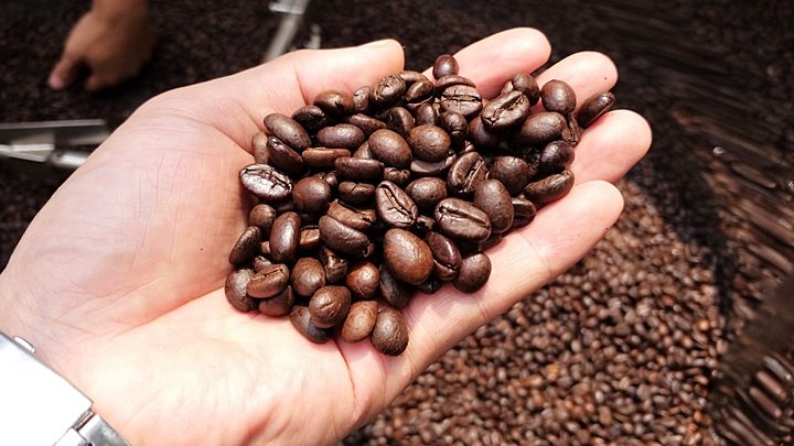 Update on the latest domestic and world coffee prices on 08/1/2023