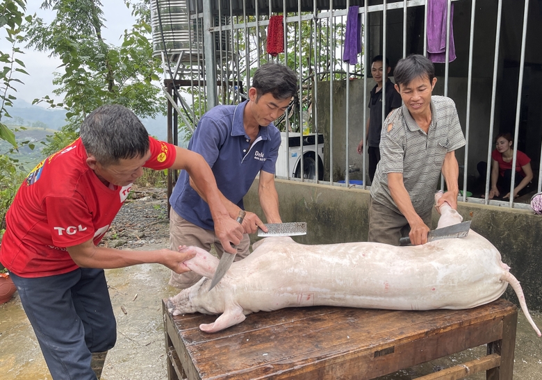 Tại vùng cao Lào Cai, người dân vẫn còn giữ thói quen giết mổ lợn tại nhà. Ảnh: Hải Đăng.