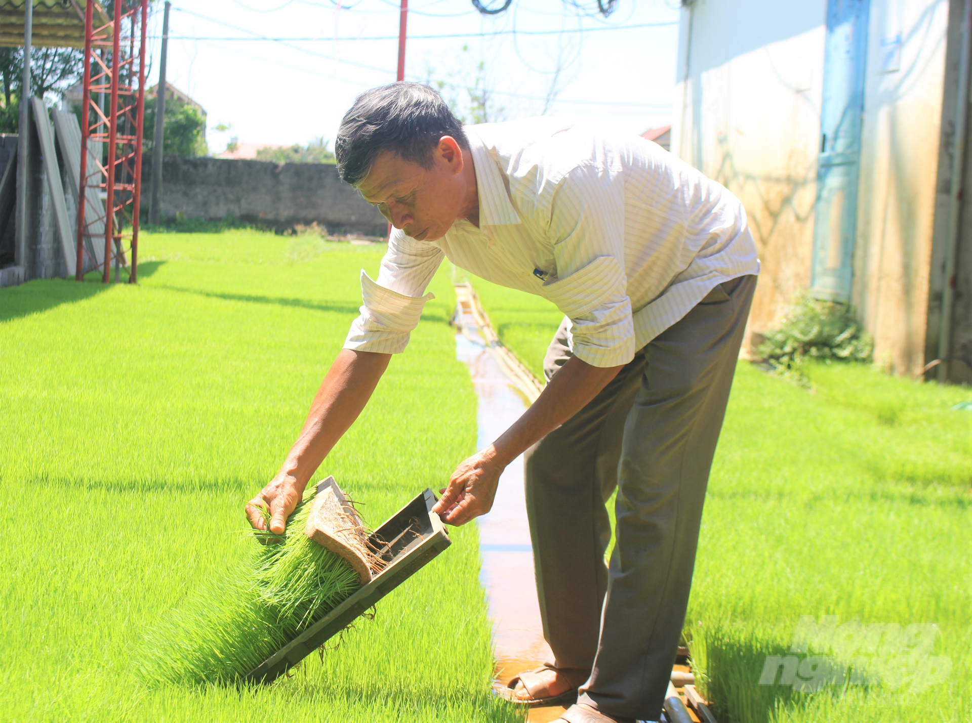 According to Mr. Vu Van Quyet, Chairman of the Board of Directors of Hop Tien Agricultural Cooperative, Khanh Nhac commune (Yen Khanh, Ninh Binh), building a strong production chain helps mechanization more conveniently. Photo: Kien Trung.