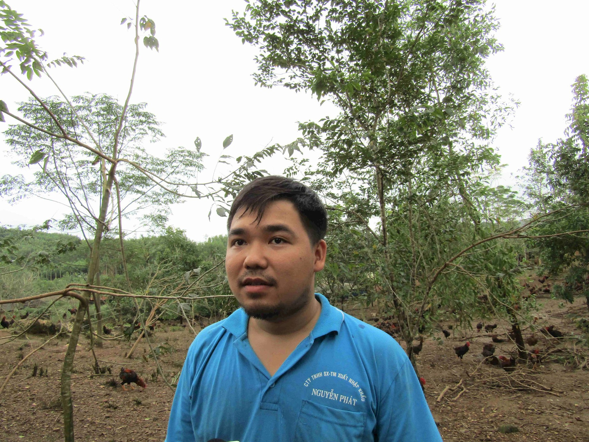 Người nuôi gà thả đồi tại huyện Hoài Ân (Bình Định) muốn phát triển nhưng đang vướng Luật Lâm nghiệp. Ảnh: V.Đ.T.