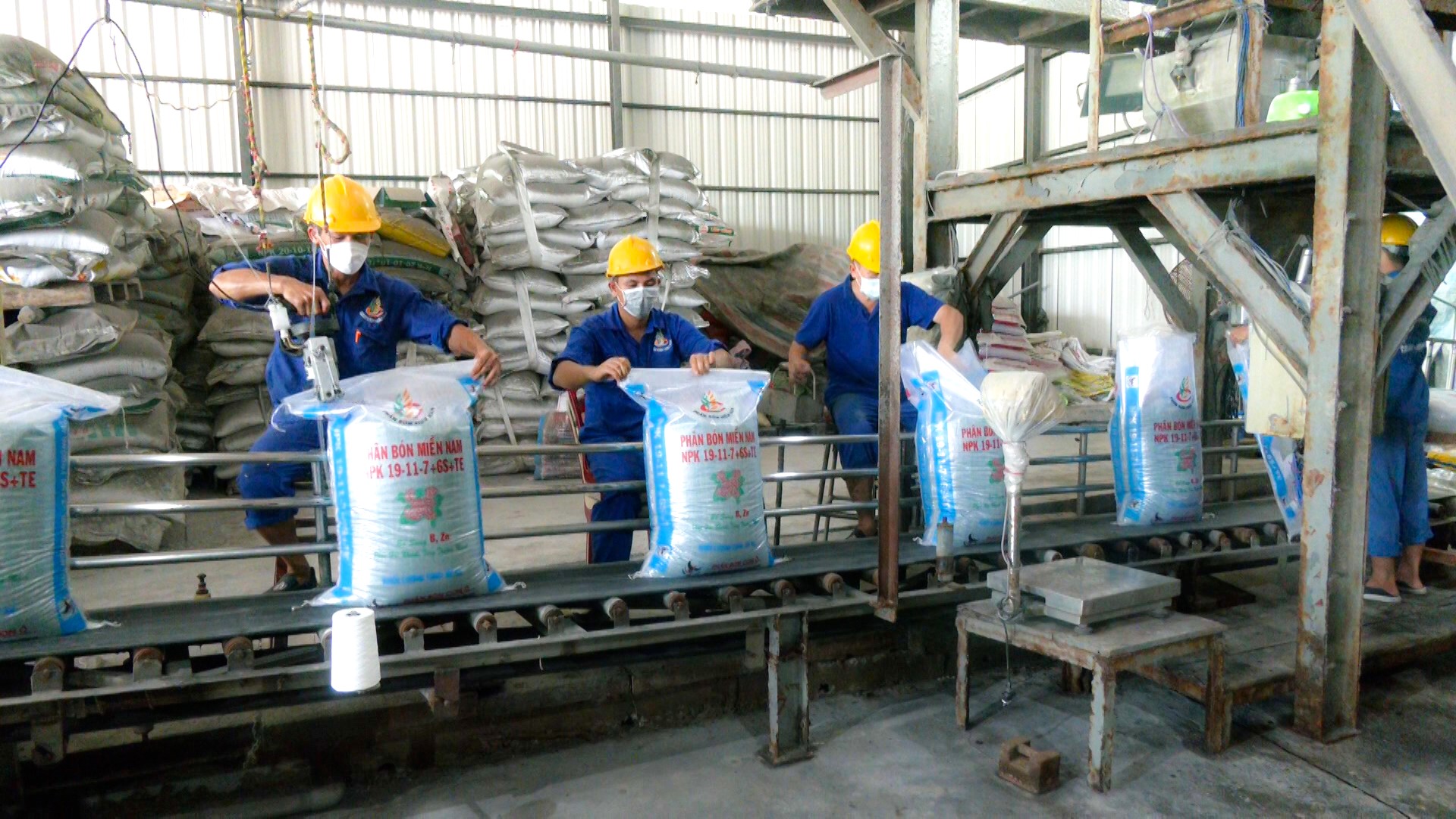 The fertilizer output decreased greatly, so enterprises are pressured to increase product prices and farmers were directly affected. Photo: Kim Anh.