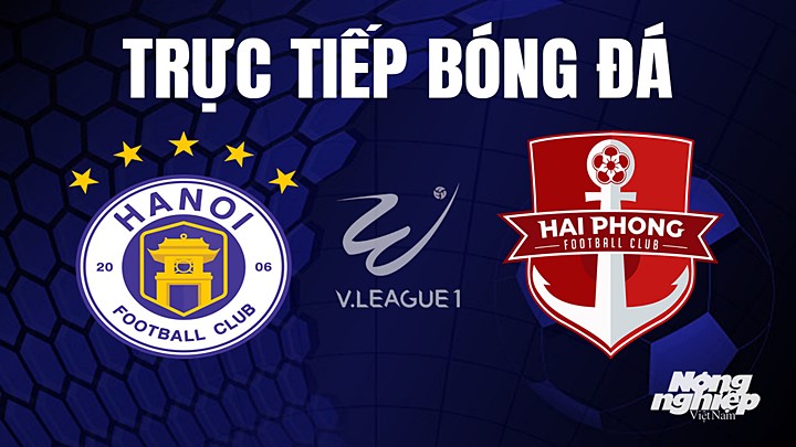 Trực tiếp bóng đá V-League 2023 giữa Hà Nội vs Hải Phòng hôm nay 2/8/2023