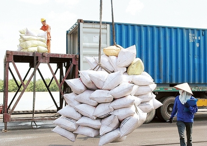 Vietnamese rice industry can further push exports considering the current situation. Photo: TL.