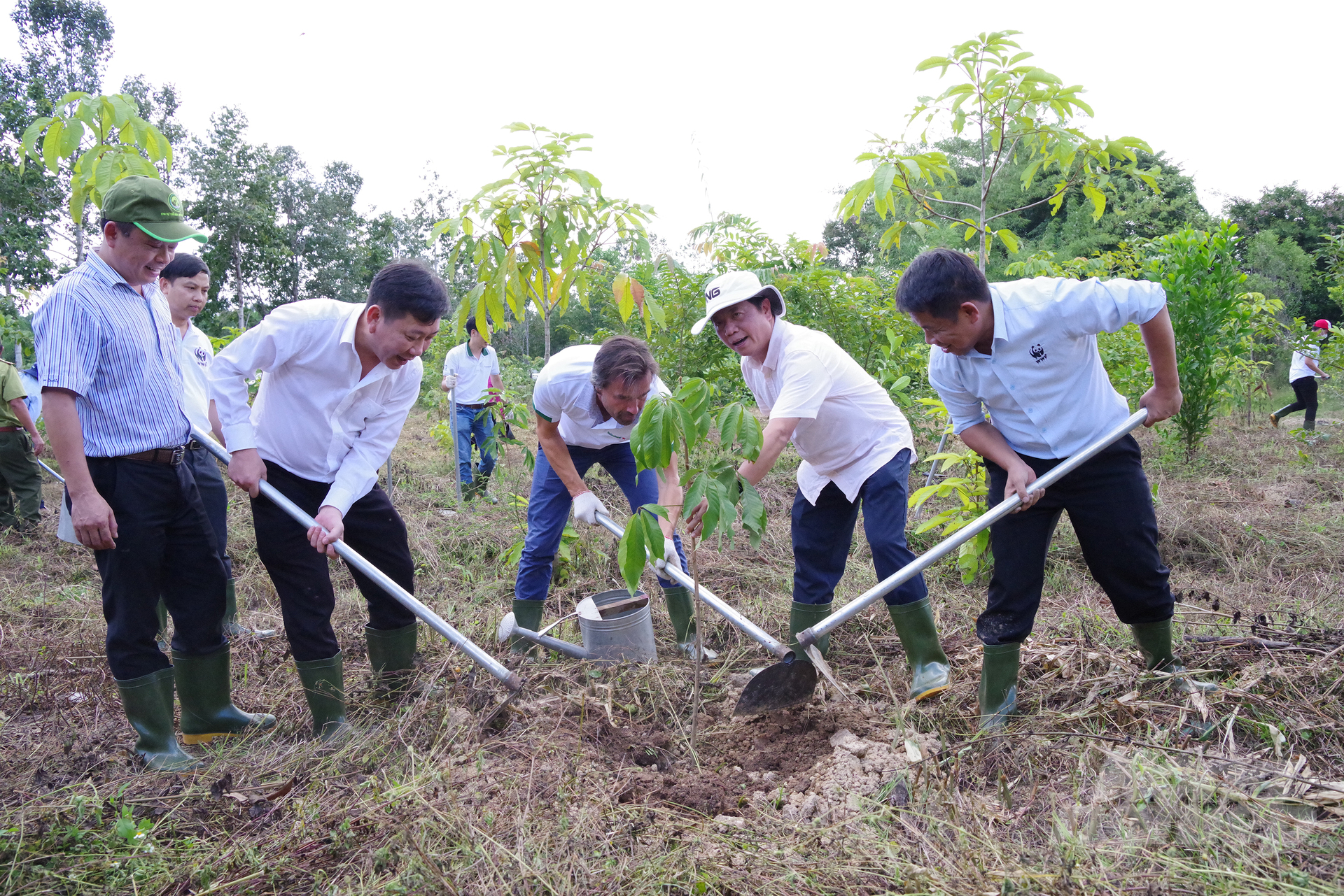 Lãnh đạo Bộ NN-PTNT, WWF-Việt Nam, Heineken Việt Nam tham gia trồng cây tại khu bảo tồn. Ảnh: Nguyễn Thủy.
