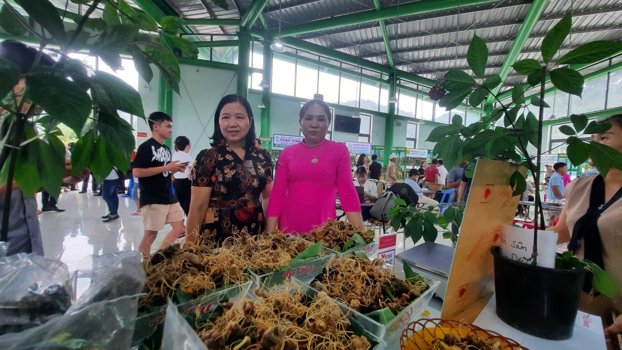 Phiên chợ sâm Ngọc Linh huyện Nam Trà My diễn ra thường kỳ từ ngày 1 đến ngày 3 hàng tháng. Ảnh: L.K.