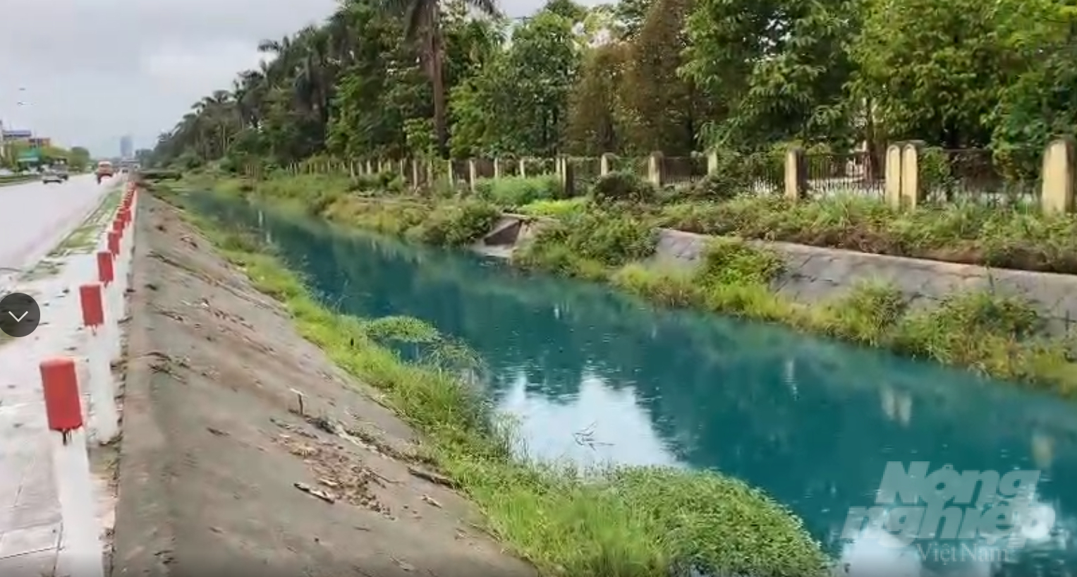 Cả dòng kênh Thành Hưng bị nhuộm màu xanh do chất thải từ Công ty Cổ phần Thần Nông. Ảnh: QT.