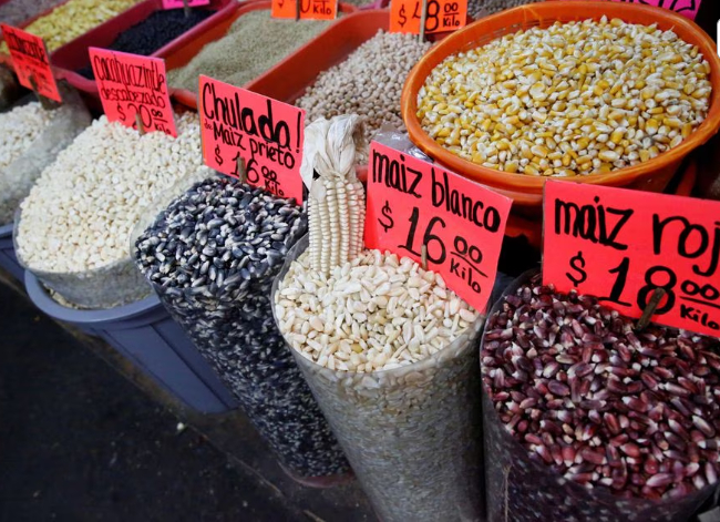 Sacks of different varieties of corn grain are displayed at a market in Mexico City, Mexico, May 19, 2017. Photo: REUTERS/Henry Romero