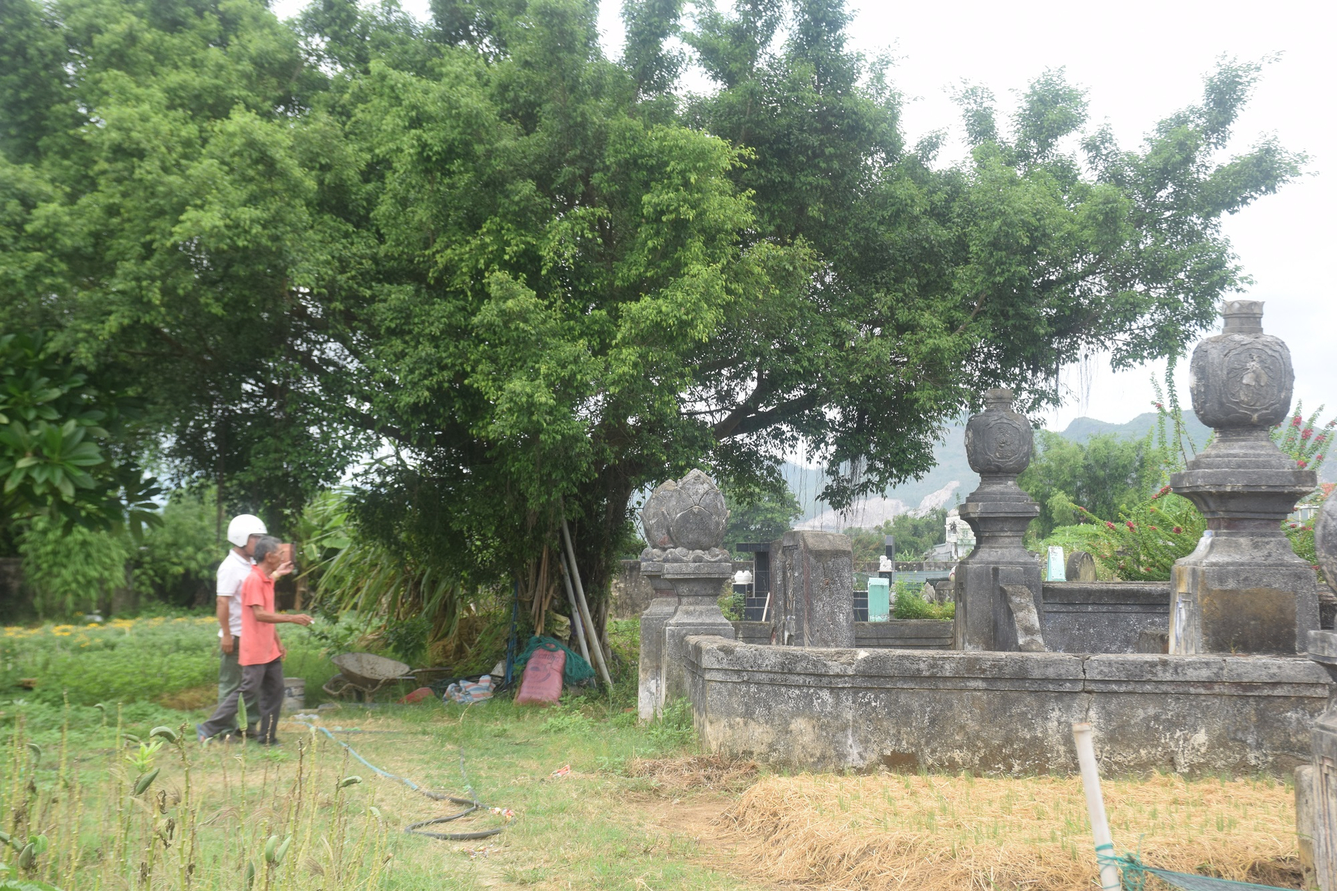 Khu lăng mộ của dòng họ Lê gia ở thôn Luật Chánh, xã Phước Hiệp (huyện Tuy Phước, Bình Định). Ảnh: V.Đ.T.