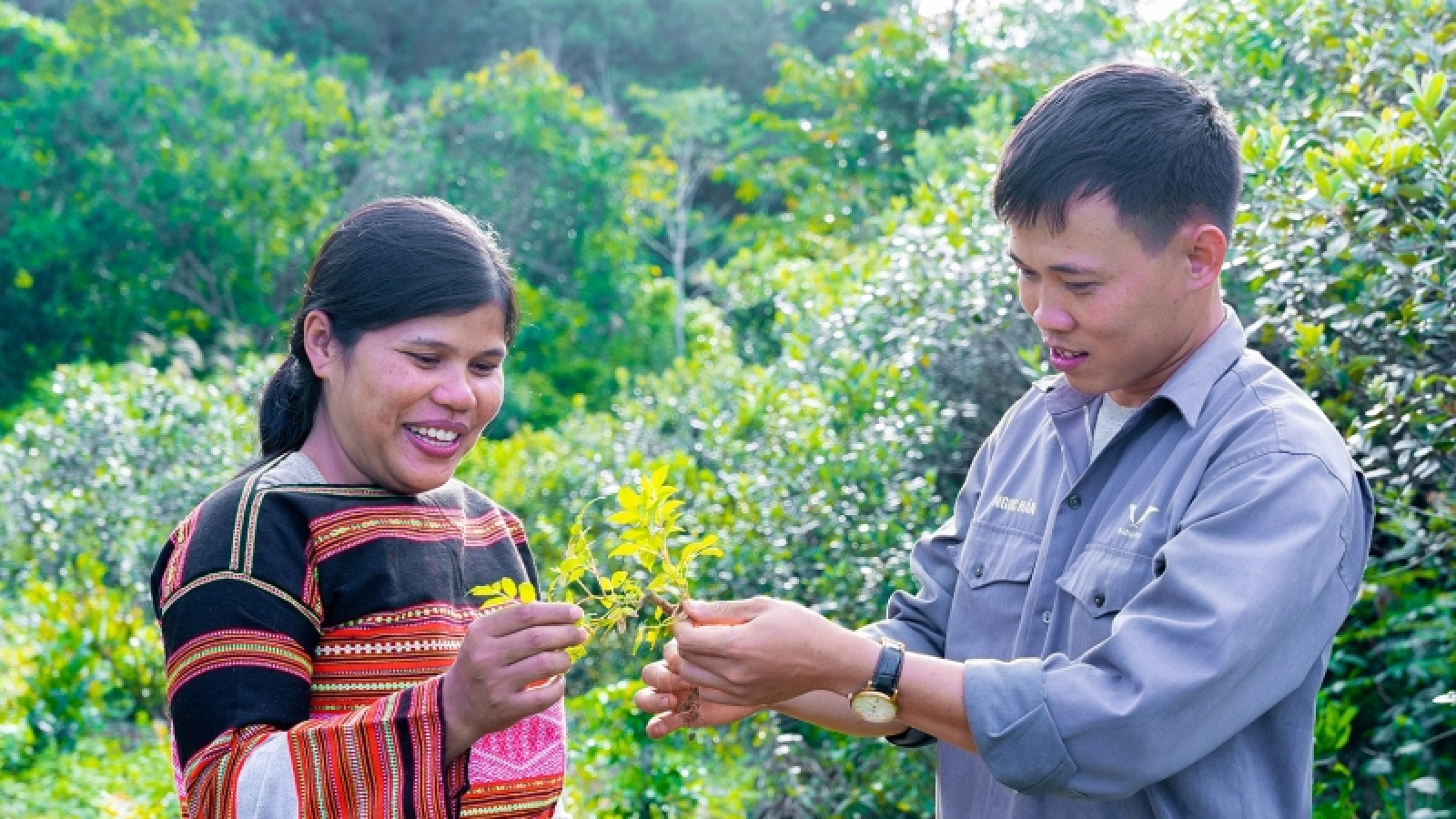 Thủ tướng yêu cầu ưu tiên tháo gỡ khó khăn cho sản xuất kinh doanh, tạo sinh kế cho người dân. Ảnh: TL.