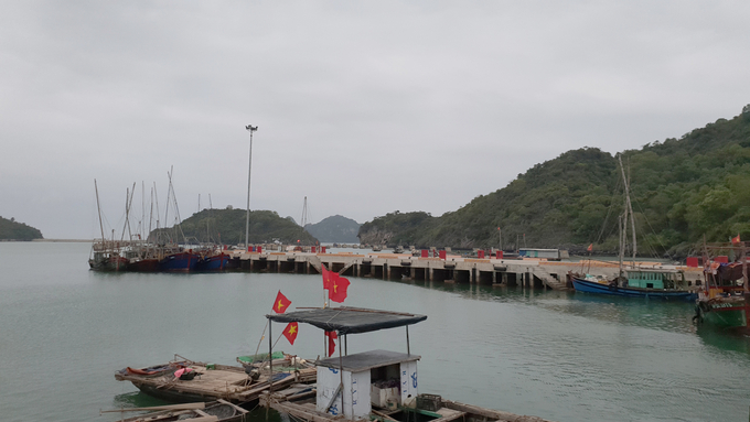 Tàu thuyền vào tránh trú bão tại cảng cá Trân Châu. Ảnh: Toán Nguyễn.