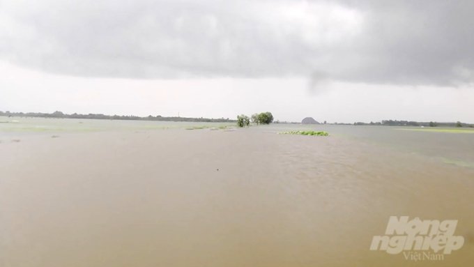 Những cánh đồng lúa mênh mông nước lũ trên địa bàn huyện Định Quán trong những ngày qua, đến nay chưa kịp rút nước. Ảnh: MS.