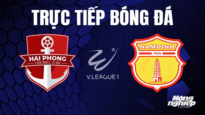 Trực tiếp bóng đá V-League 2023 giữa Hải Phòng vs Nam Định hôm nay 6/8/2023