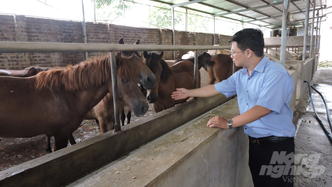 From the beginning of 2023 up to now, in Bac Giang province, there have been no large outbreaks in livestock herds. Photo: Trung Quan.