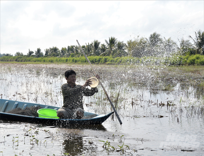 Nông dân huyện An Minh sử dụng chế phẩm sinh học thay kháng sinh để xử lý môi trường nước nuôi tôm, tăng chất lượng tôm nuôi. Ảnh: Trung Chánh.