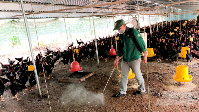 In the face of adverse weather conditions, the risk of re-emergence of dangerous diseases in livestock herds is very high. Photo: MS.