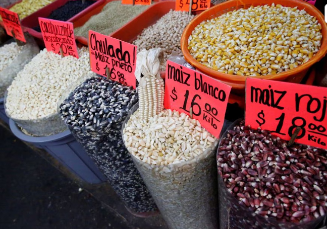 Sacks of different varieties of corn grain are displayed at a market in Mexico City, Mexico, May 19, 2017. Photo: REUTERS/Henry Romero.