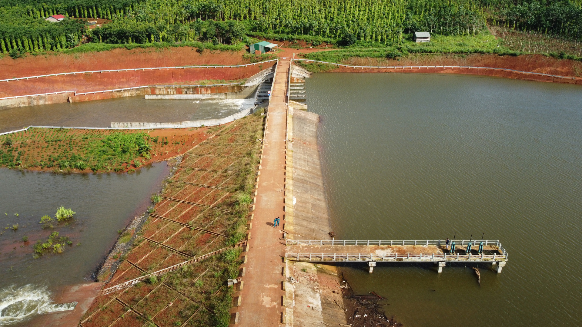 Dak N'ting irrigation works with a capacity of 1.2 million cubic meters of water are at risk of bursting. Photo: Quang Yen.