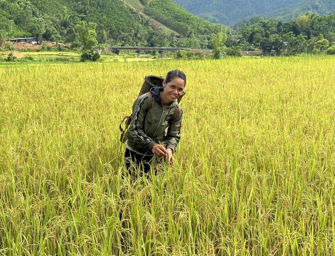 Rừng xanh, lúa vàng cùng cuộc sống bình yên của người dân dưới chân rừng phòng hộ Long Môn, huyện Minh Long, tỉnh Quảng Ngãi. Ảnh: Mỹ Hoa.
