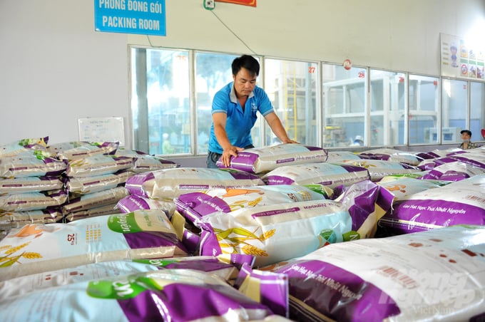 Theo Bộ Công Thương, trong những tháng đầu năm, xuất khẩu gạo của Việt Nam rất thuận lợi với khối lượng xuất khẩu trong 7 tháng đầu năm đạt trên 4,8 triệu tấn, trị giá 2,58 tỷ USD, tăng 18,7% về lượng nhưng tăng đến 30% về giá trị. Ảnh: Lê Hoàng Vũ.