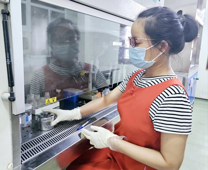 New Hope Group sets up a machine room and arranged human resources in the university to both serve training and perform testing. Photo: Hoang Anh.