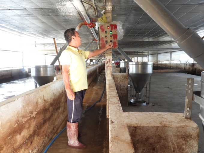 Từ 2008, Bình Phước đã quy hoạch phát triển chăn nuôi theo hướng công nghiệp hiện đại và giảm dần chăn nuôi nhỏ lẻ. Ảnh: Phúc Lập.