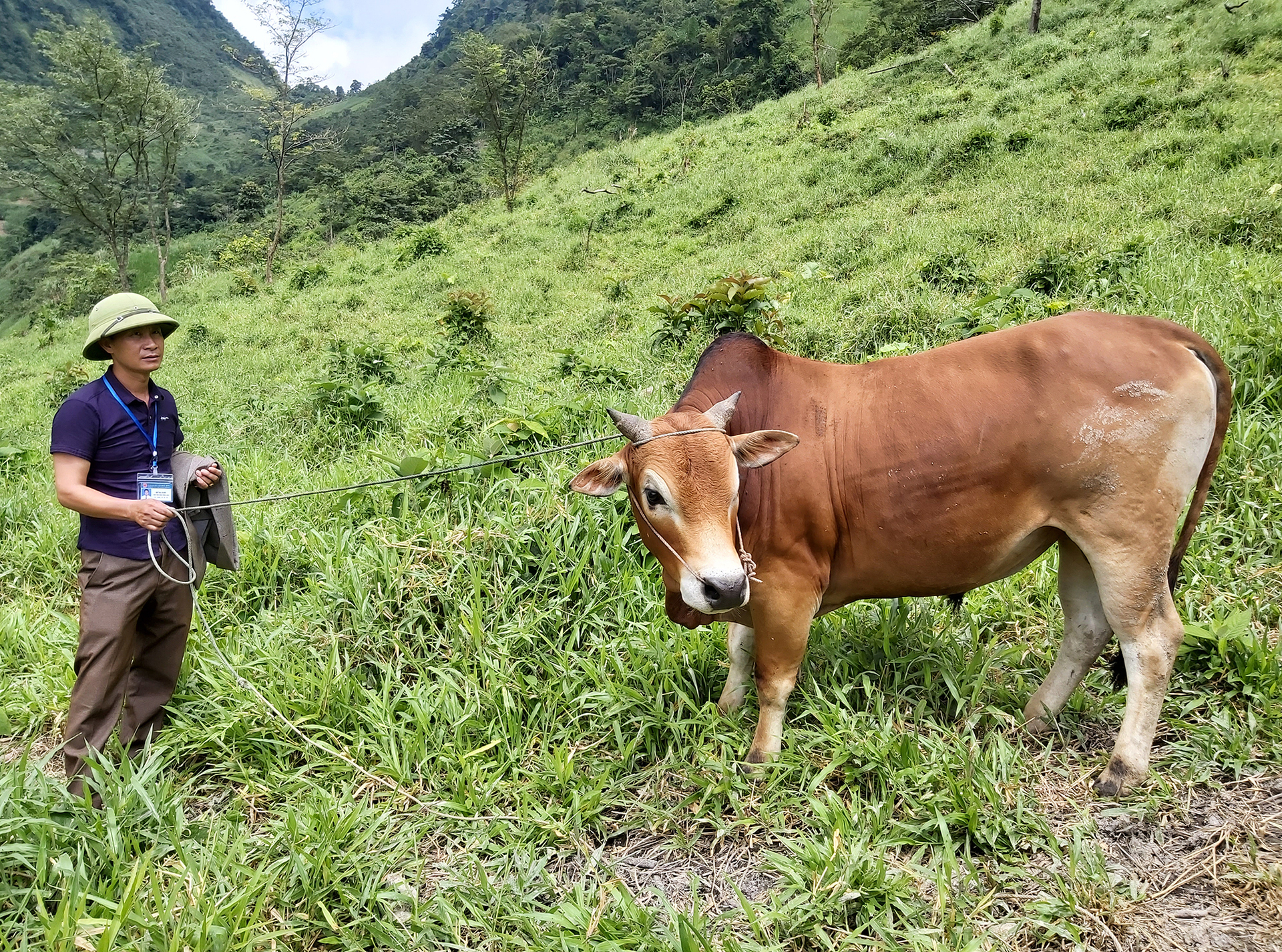 Nghề này phát triển ở các xã vùng biên như Nậm Cắn, Mường Lống. Ảnh: Việt Khánh.