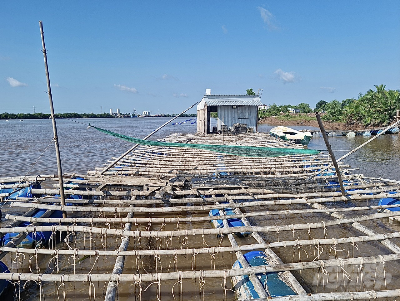  Các lồng bè nuôi hàu vô tình làm hẹp dòng sông và ảnh hưởng đến việc lưu thông đường thủy trên đoạn sông dài khoảng 20 km tại địa bàn huyện Duyên Hải. Ảnh: Hồ Thảo.