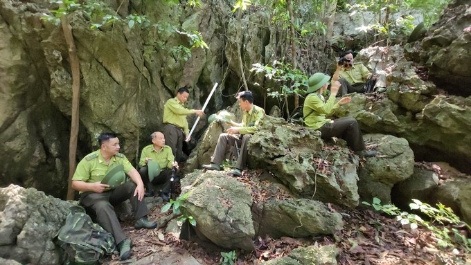 The terrain of Cat Ba National Park is very rugged and difficult to travel. Photo: Dinh Muoi.