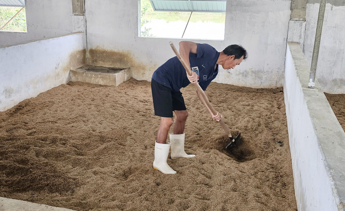 Đệm lót sinh học bằng mùn cưa, vỏ trấu trộn với men vi sinh được xới 2 ngày/lần, cơ bản hạn chế được ô nhiễm môi trường. Ảnh: TN.