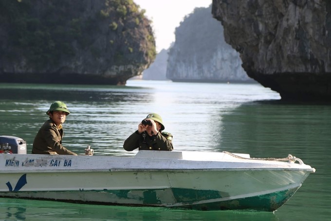 The ranger force in Cat Ba patrols the sea. Photo: Dinh Muoi.
