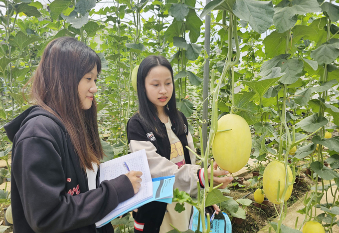 Những giờ thực hành sẽ cho sinh viên kiến thức tốt để áp dụng vào công việc ngay sau khi ra trường. Ảnh: Tâm Phùng.