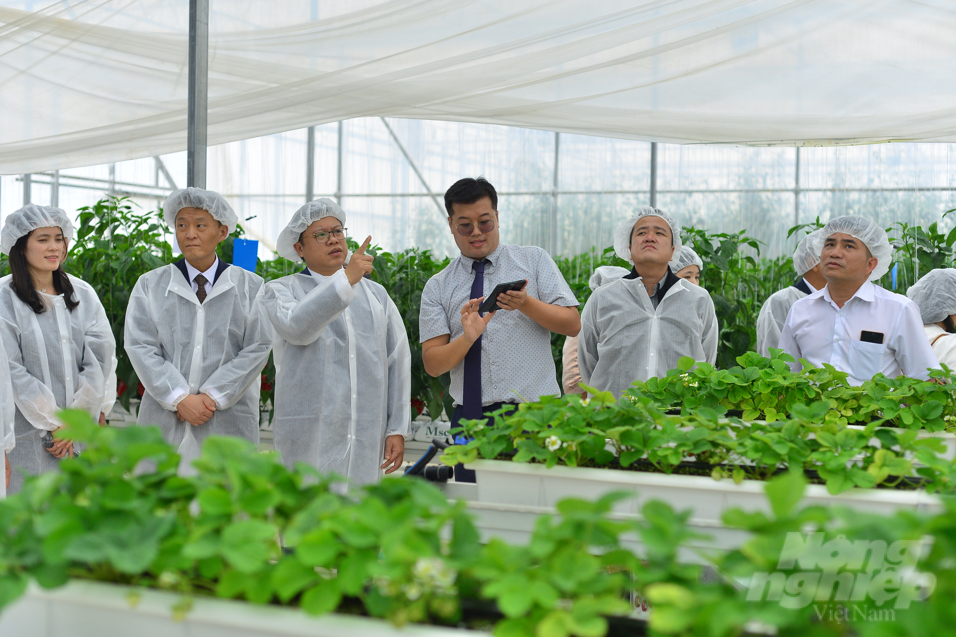The project of establishing a smart and safe agricultural product value chain in Vietnam was implemented at the Potato, Vegetable and Flower Research Center (Da Lat City, Lam Dong). Photo: Minh Hau