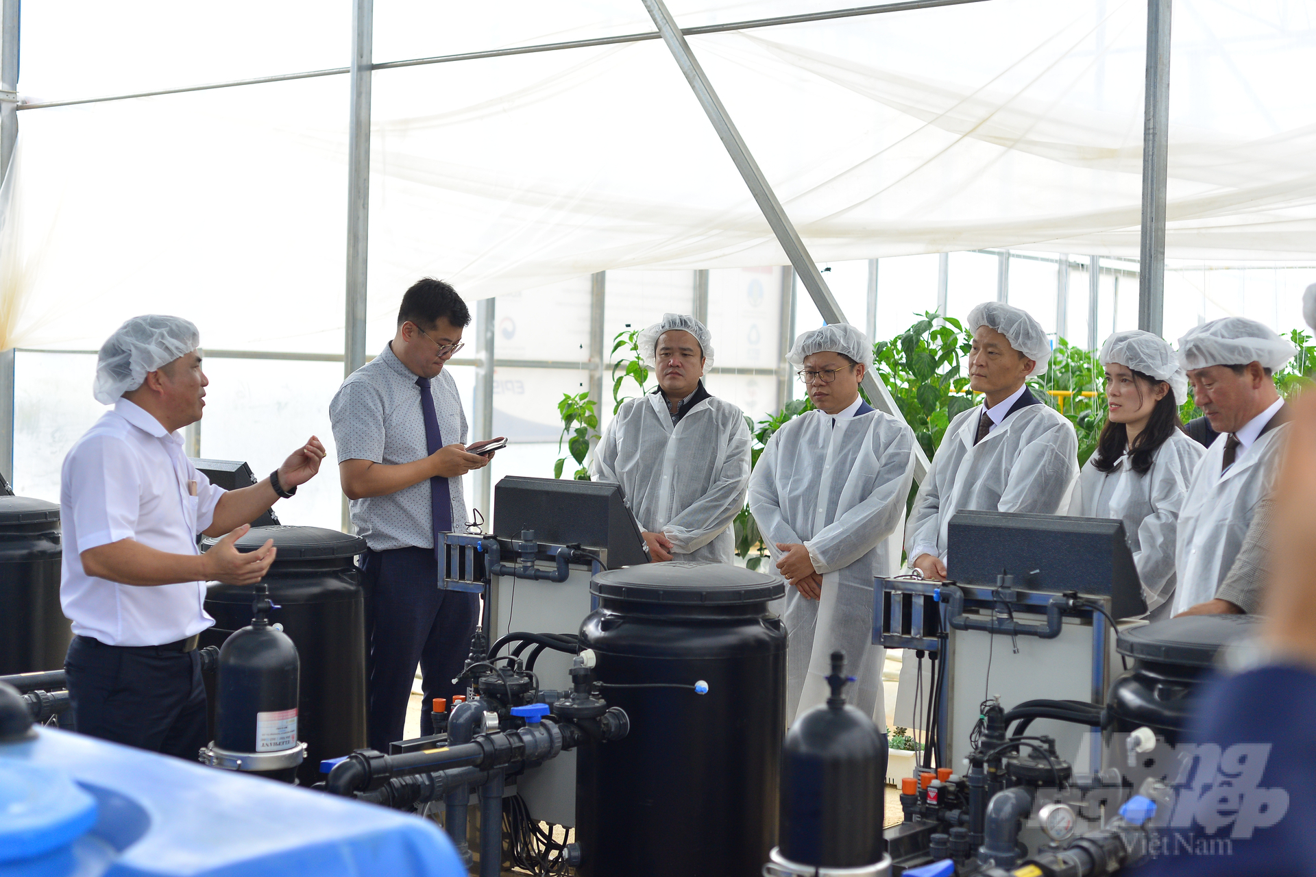 The project has built 5.7 thousand m2 of greenhouses according to Korean technology and planted varieties of strawberries, peppers and tomatoes. Photo: Minh Hau. 