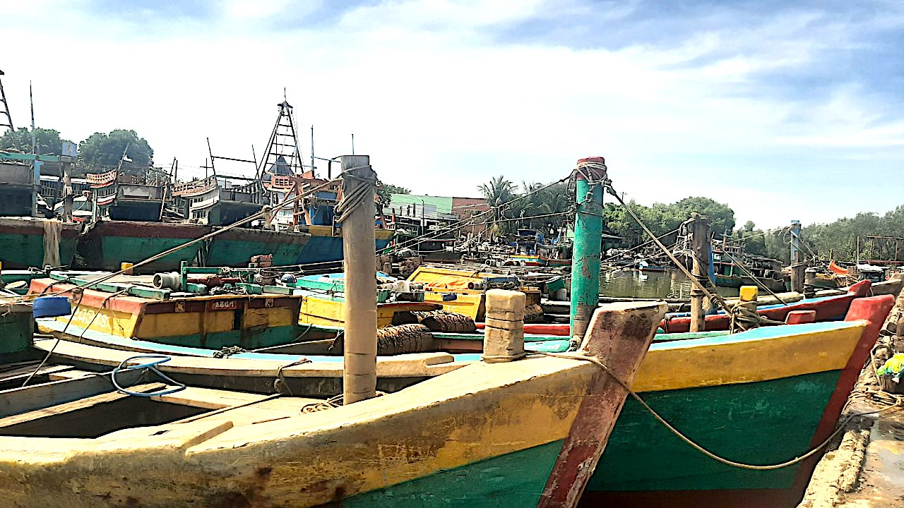 From the beginning of 2023 until now, Tien Giang fishing vessels have yet to be detected violating foreign waters. Photo: Huu Duc.