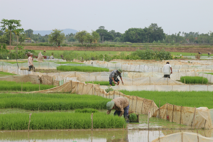 The demand for water for production is increasing day by day. Photo: Dinh Muoi.